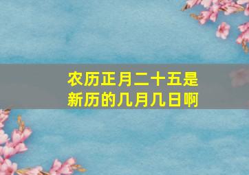 农历正月二十五是新历的几月几日啊