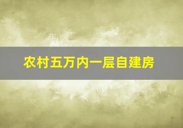 农村五万内一层自建房