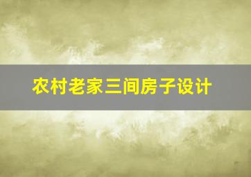 农村老家三间房子设计