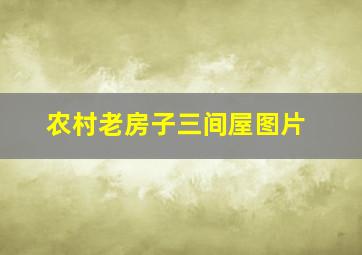 农村老房子三间屋图片