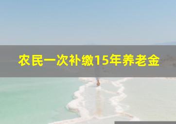 农民一次补缴15年养老金