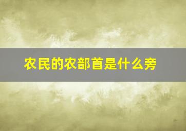 农民的农部首是什么旁