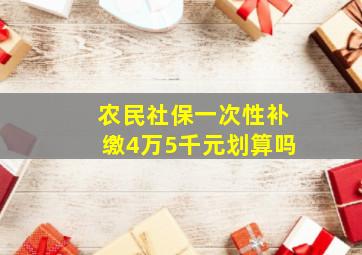 农民社保一次性补缴4万5千元划算吗