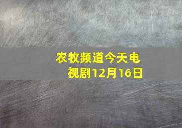 农牧频道今天电视剧12月16日