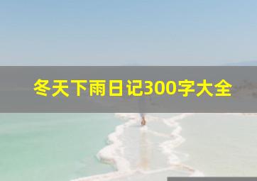 冬天下雨日记300字大全