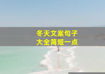 冬天文案句子大全简短一点