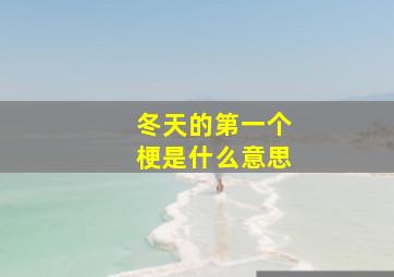 冬天的第一个梗是什么意思