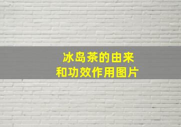 冰岛茶的由来和功效作用图片