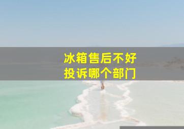 冰箱售后不好投诉哪个部门