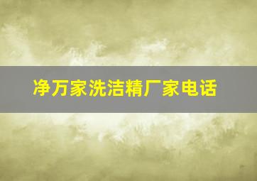 净万家洗洁精厂家电话