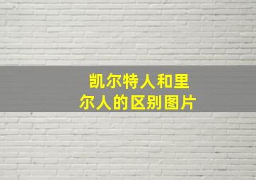 凯尔特人和里尔人的区别图片