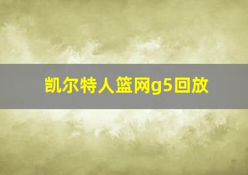 凯尔特人篮网g5回放