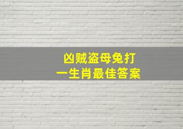 凶贼盗母兔打一生肖最佳答案