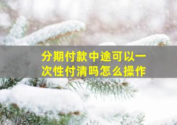 分期付款中途可以一次性付清吗怎么操作