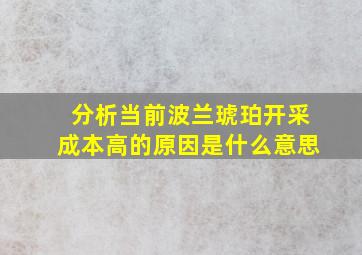 分析当前波兰琥珀开采成本高的原因是什么意思