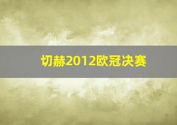 切赫2012欧冠决赛