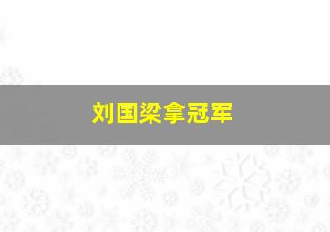 刘国梁拿冠军