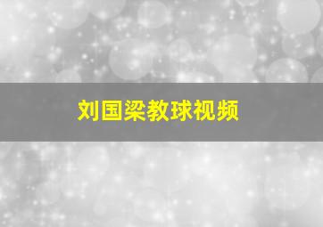 刘国梁教球视频