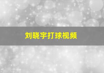 刘晓宇打球视频