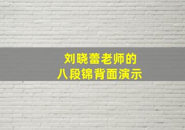 刘晓蕾老师的八段锦背面演示