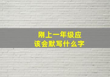 刚上一年级应该会默写什么字