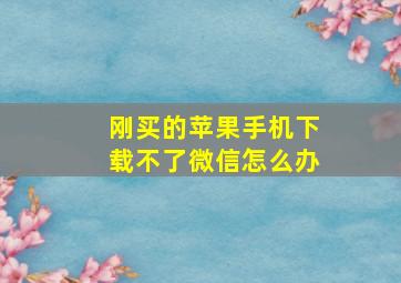 刚买的苹果手机下载不了微信怎么办