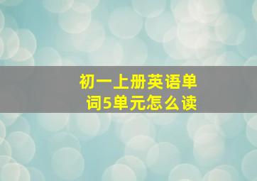 初一上册英语单词5单元怎么读