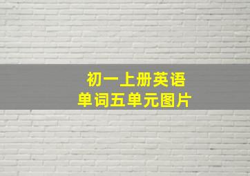 初一上册英语单词五单元图片