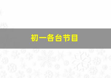 初一各台节目