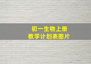 初一生物上册教学计划表图片