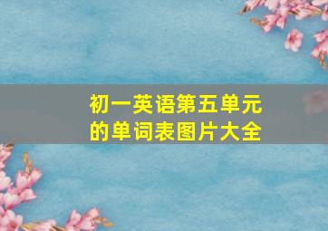 初一英语第五单元的单词表图片大全