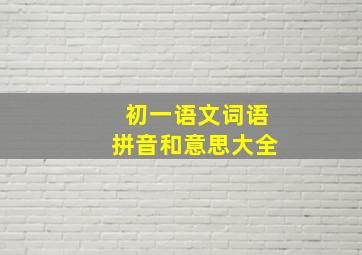 初一语文词语拼音和意思大全