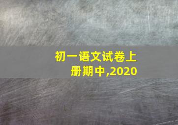 初一语文试卷上册期中,2020