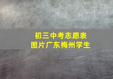 初三中考志愿表图片广东梅州学生