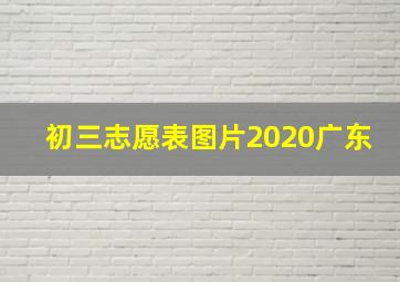 初三志愿表图片2020广东