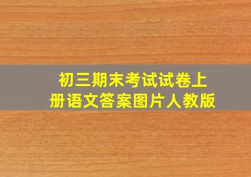 初三期末考试试卷上册语文答案图片人教版