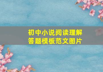 初中小说阅读理解答题模板范文图片