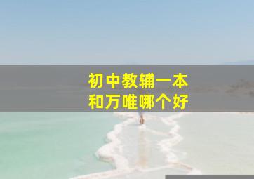 初中教辅一本和万唯哪个好