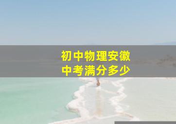 初中物理安徽中考满分多少