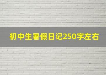 初中生暑假日记250字左右