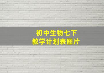 初中生物七下教学计划表图片