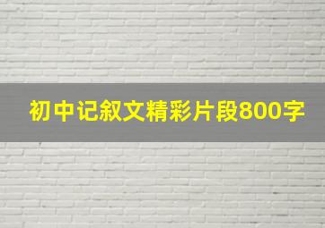 初中记叙文精彩片段800字