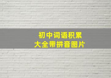 初中词语积累大全带拼音图片