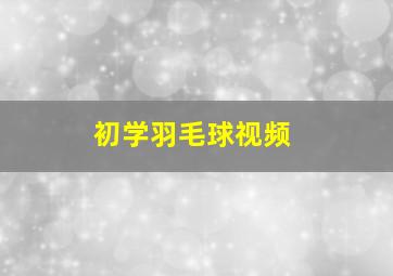 初学羽毛球视频