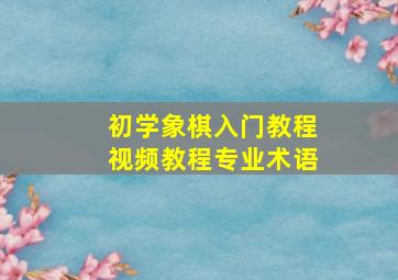 初学象棋入门教程视频教程专业术语