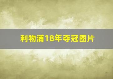 利物浦18年夺冠图片