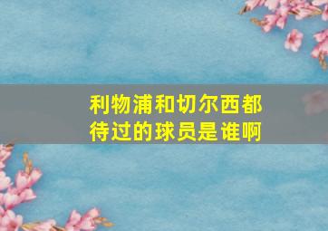 利物浦和切尔西都待过的球员是谁啊