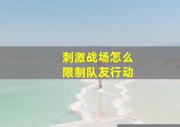 刺激战场怎么限制队友行动