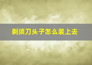 剃须刀头子怎么装上去