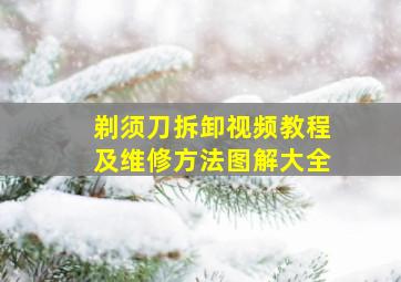 剃须刀拆卸视频教程及维修方法图解大全